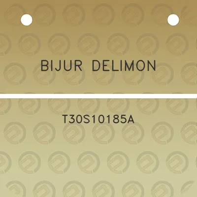 bijur-delimon-t30s10185a