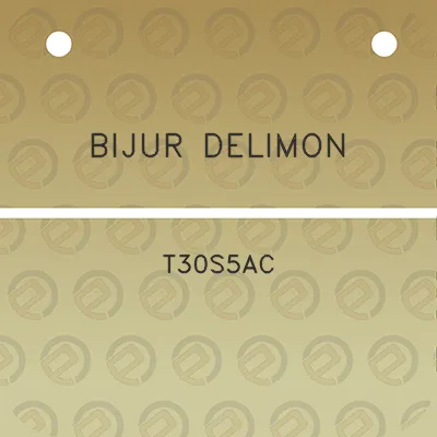 bijur-delimon-t30s5ac