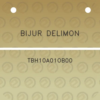 bijur-delimon-tbh10a01ob00