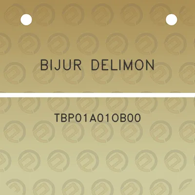 bijur-delimon-tbp01a01ob00