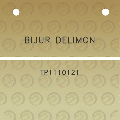 bijur-delimon-tp1110121