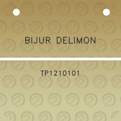 bijur-delimon-tp1210101