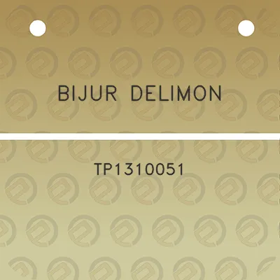 bijur-delimon-tp1310051