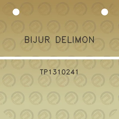 bijur-delimon-tp1310241