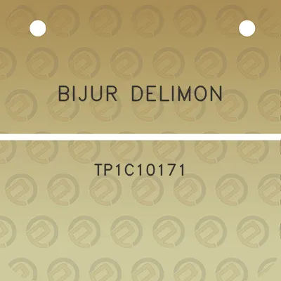 bijur-delimon-tp1c10171