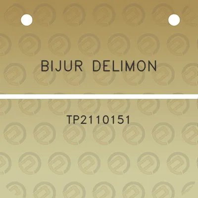 bijur-delimon-tp2110151