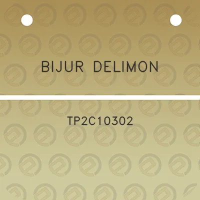 bijur-delimon-tp2c10302