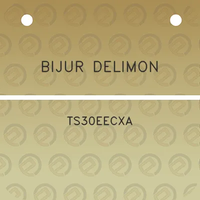 bijur-delimon-ts30eecxa