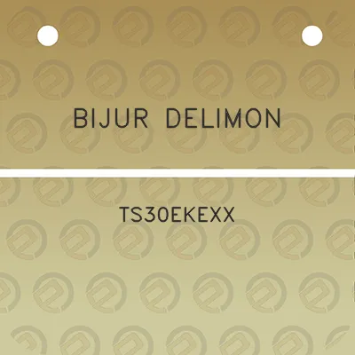 bijur-delimon-ts30ekexx