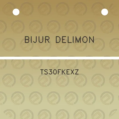 bijur-delimon-ts30fkexz