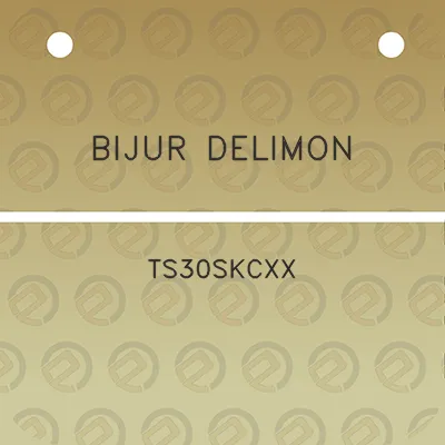 bijur-delimon-ts30skcxx