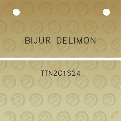 bijur-delimon-ttn2c1s24