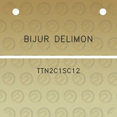 bijur-delimon-ttn2c1sc12