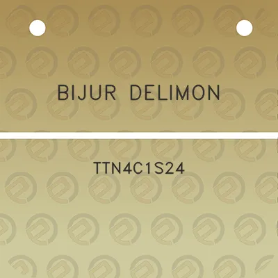 bijur-delimon-ttn4c1s24