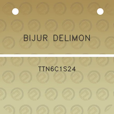 bijur-delimon-ttn6c1s24