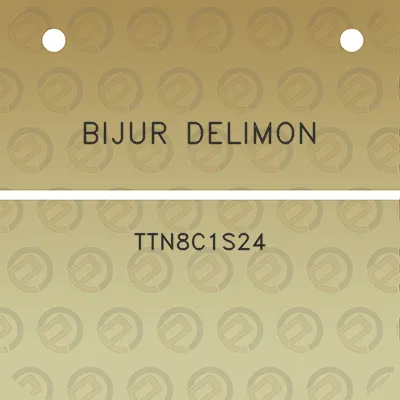 bijur-delimon-ttn8c1s24