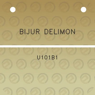 bijur-delimon-u101b1