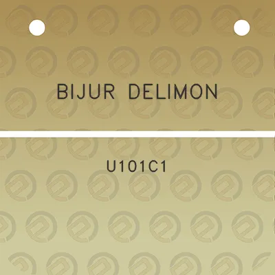 bijur-delimon-u101c1