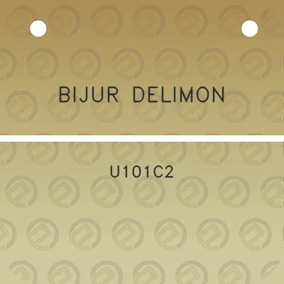 bijur-delimon-u101c2