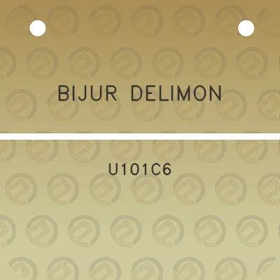 bijur-delimon-u101c6