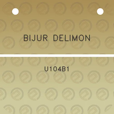 bijur-delimon-u104b1