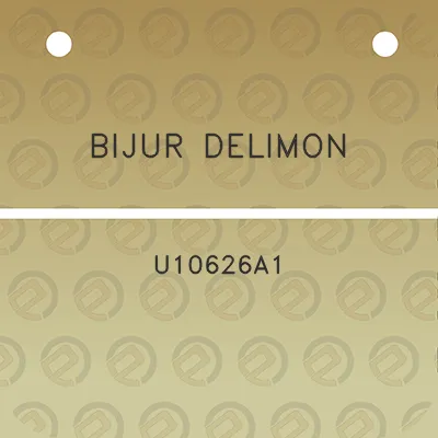 bijur-delimon-u10626a1