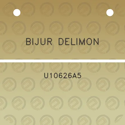 bijur-delimon-u10626a5