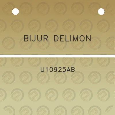 bijur-delimon-u10925ab