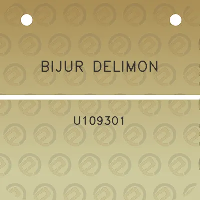 bijur-delimon-u109301