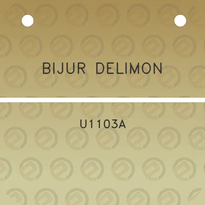 bijur-delimon-u1103a