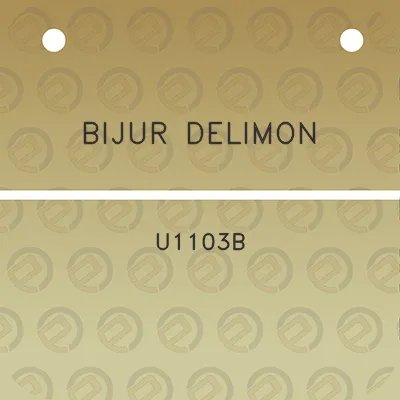 bijur-delimon-u1103b