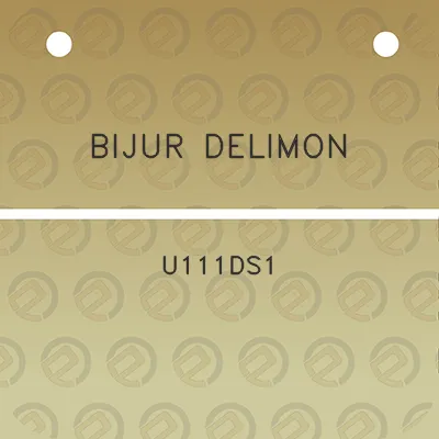 bijur-delimon-u111ds1