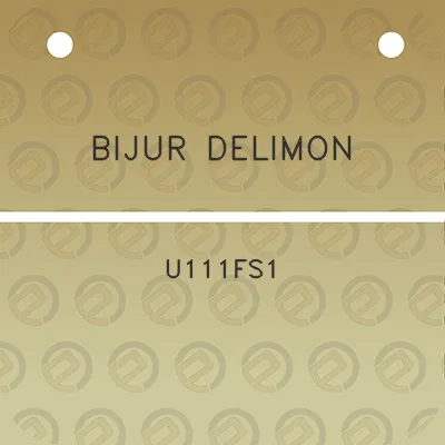 bijur-delimon-u111fs1