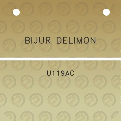 bijur-delimon-u119ac