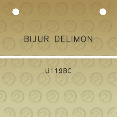 bijur-delimon-u119bc