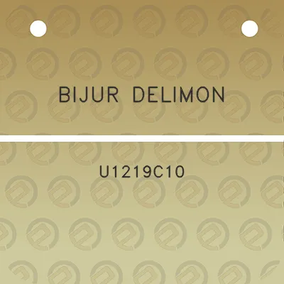 bijur-delimon-u1219c10