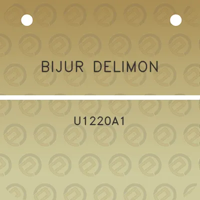 bijur-delimon-u1220a1