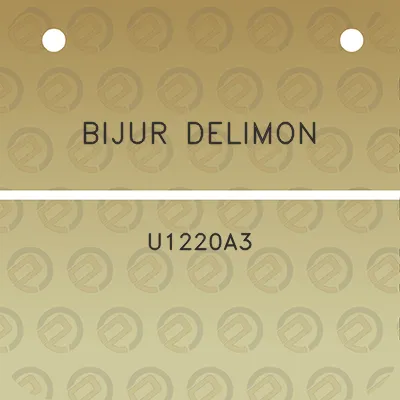 bijur-delimon-u1220a3