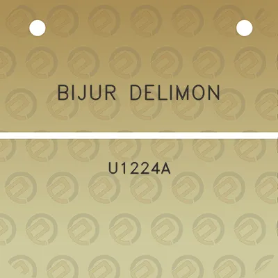 bijur-delimon-u1224a