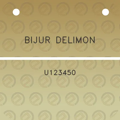 bijur-delimon-u123450