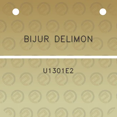 bijur-delimon-u1301e2