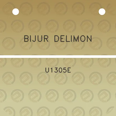 bijur-delimon-u1305e