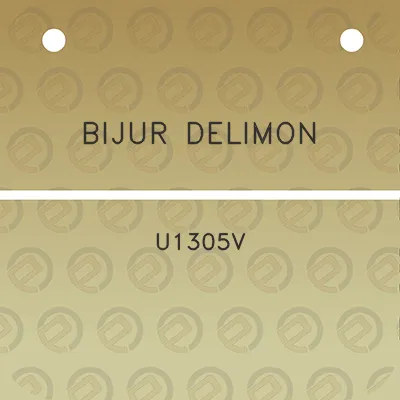 bijur-delimon-u1305v