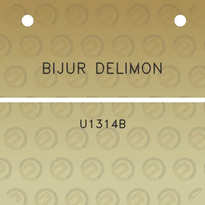 bijur-delimon-u1314b