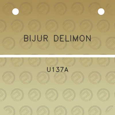 bijur-delimon-u137a