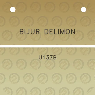 bijur-delimon-u137b