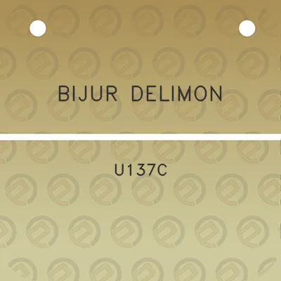 bijur-delimon-u137c