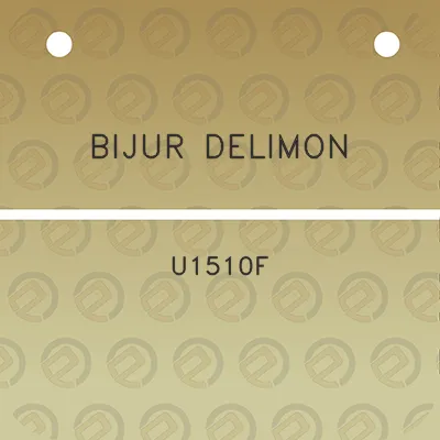 bijur-delimon-u1510f