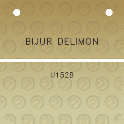 bijur-delimon-u152b