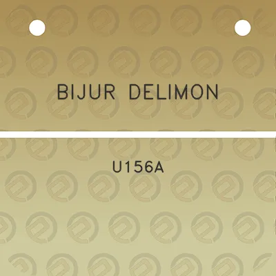 bijur-delimon-u156a